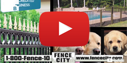 /Thumbnail for video about Fence City