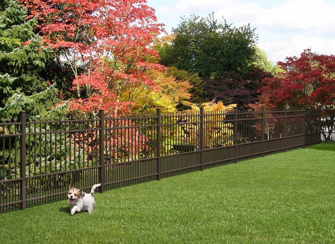 a photo of this fence